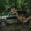 Dino Park