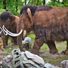 Dino Park