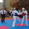 Zawodnicy malborskiego Klubu Kyokushin Karate na mistrzostwach w Lublinie