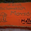 I Zlot Morsów w Malborku