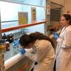 Zajęcia laboratoryjne uczniów II LO na Wydziale Chemii UG