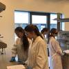 Zajęcia laboratoryjne uczniów II LO na Wydziale Chemii UG
