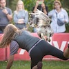 Kolejne sukcesy Niny Kusiak i jej psa Kiwi