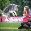 Kolejne sukcesy Niny Kusiak i jej psa Kiwi