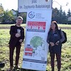 Elektryczny las