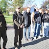 Elektryczny las