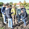 Elektryczny las