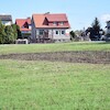 Elektryczny las