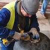 Kapsuła czasu z wieży ratusza