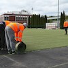 Wymiana sztucznej nawierzchni na boisku przy ul. Toruńskiej