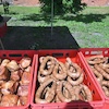 Jarmark Różności