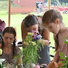 Warsztaty na Wałach von Plauena