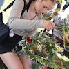 Warsztaty na Wałach von Plauena