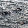 Castle Triathlon Malbork - dzień 2 (start Ironman i 1/2 IM)