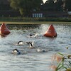 Castle Triathlon Malbork - dzień 2 (start Ironman i 1/2 IM)
