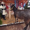 Msza św., koncert i Orszak Trzech Króli