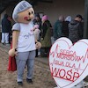 Malborskie Morsy na rzecz WOŚP