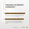Ustawa o ochronie ludności i obronie cywilnej