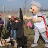 Nowe drzewa przy SP3