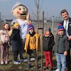 Nowe drzewa przy SP3