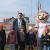 Nowe drzewa przy SP3