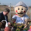Nowe drzewa przy SP3