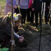 Pierwszy dzień wiosny U3W