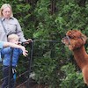 Piknik Rodzinny „Na biegowo, na sportowo”