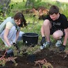 Nowe rabaty na bulwarze im. Macieja Kilarskiego