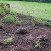 Nowe rabaty na bulwarze im. Macieja Kilarskiego