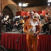 Koncert „Amor Artis – z miłości do sztuki”