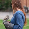 Atrakcje Festiwalu Kultury Średniowiecznej Oblężenie Malborka