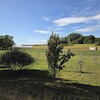 Monheim nad Renem w obiektywie