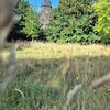 Monheim nad Renem w obiektywie