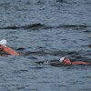 Castle Triathlon Malbork 2025 - starty na dystansie długim i 1/2