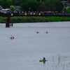 Malborski Maraton Kajakowy 12H