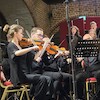 Koncert Amor Artis