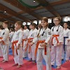 XV Otwarte Mistrzostwa Malborka Kyokushin Karate 