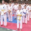 XV Otwarte Mistrzostwa Malborka Kyokushin Karate 