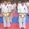 XV Otwarte Mistrzostwa Malborka Kyokushin Karate 