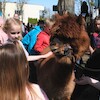 VI Piknik Rodzinny dla Autyzmu „Razem w ruchu”