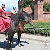 Korowód festiwalowy