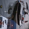 Spacer w Noc Świętojańską