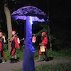 Spacer w Noc Świętojańską