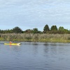 Maraton kajakowy