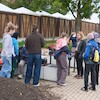 Uczniowie malborskich szkół zazieleniają bulwar im. Macieja Kilarskiego