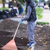 Uczniowie malborskich szkół zazieleniają bulwar im. Macieja Kilarskiego