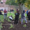Uczniowie malborskich szkół zazieleniają bulwar im. Macieja Kilarskiego