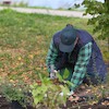 Uczniowie malborskich szkół zazieleniają bulwar im. Macieja Kilarskiego