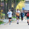 300. edycja parkrun Zamek w Malborku